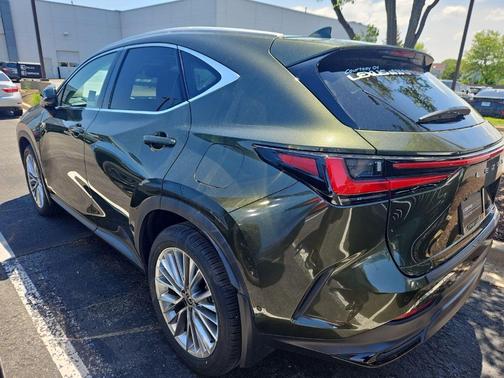 Nori Green Pearl 2025 Lexus NX 350 Luxury
