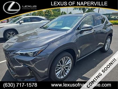 2025 Lexus NX 350 Premium