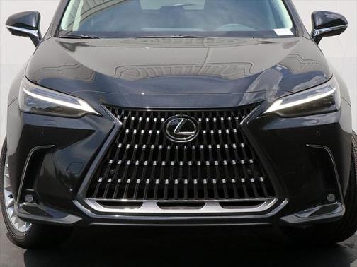 2025 Lexus NX 350 Luxury