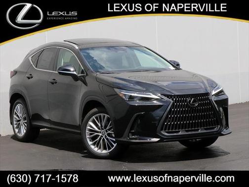 2025 Lexus NX 350 Luxury