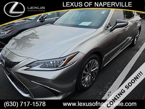 2019 Lexus ES 350 Luxury
