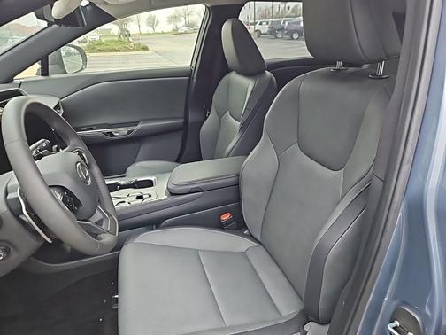 Ether 2025 Lexus RZ 450e Premium