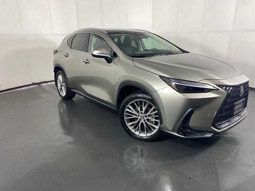 2025 Lexus NX 350 Luxury