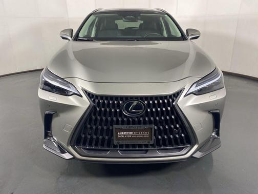 2025 Lexus NX 350 Luxury