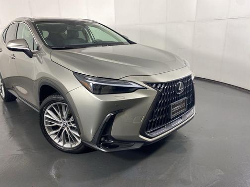 2025 Lexus NX 350 Luxury
