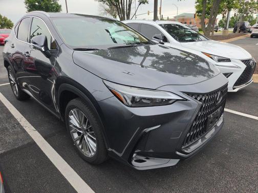 Cloudburst Gray 2026 Lexus NX 350 Premium