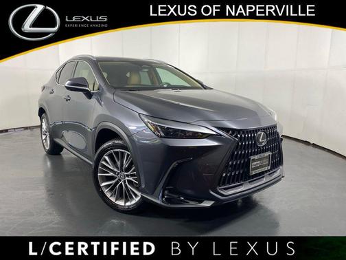 Cloudburst Gray 2026 Lexus NX 350 Premium