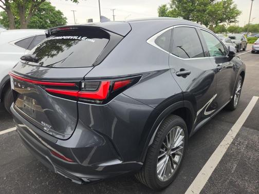 Cloudburst Gray 2026 Lexus NX 350 Premium