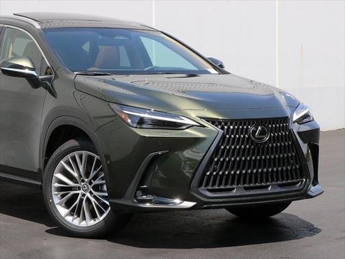2025 Lexus NX 350h Luxury