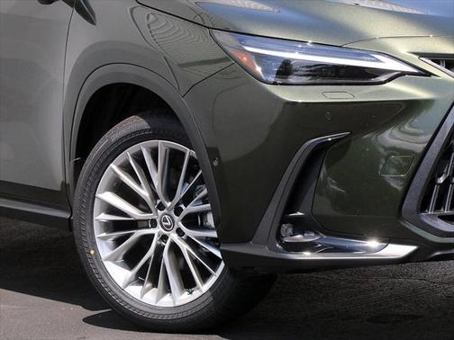 2025 Lexus NX 350h Luxury