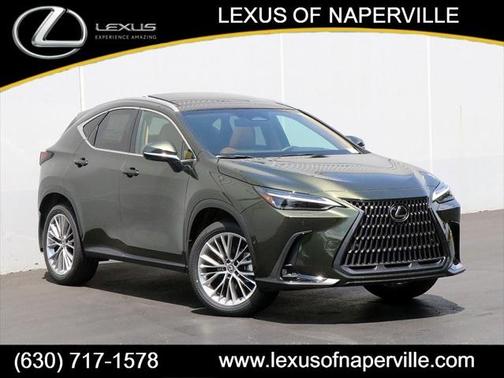 2025 Lexus NX 350h Luxury