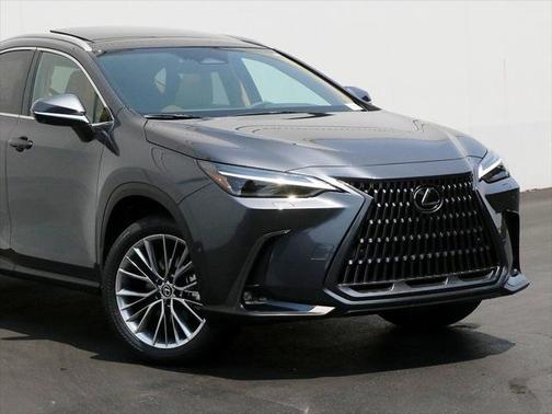 2025 Lexus NX 350h Luxury
