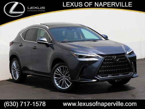 2025 Lexus NX 350h Luxury