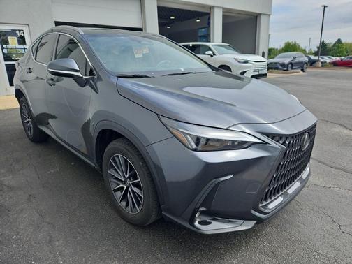 Cloudburst Gray 2024 Lexus NX 350 Premium