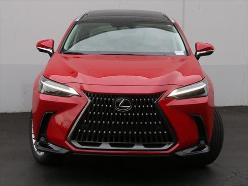 2025 Lexus NX 350 Luxury