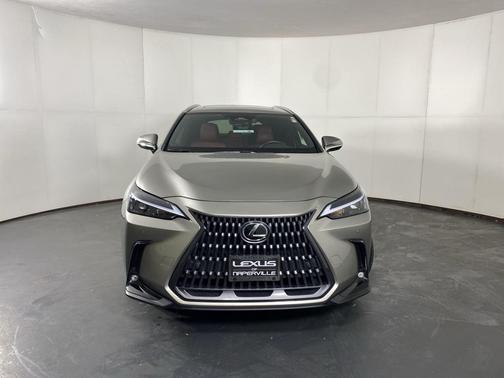 2025 Lexus NX 350 350 Base