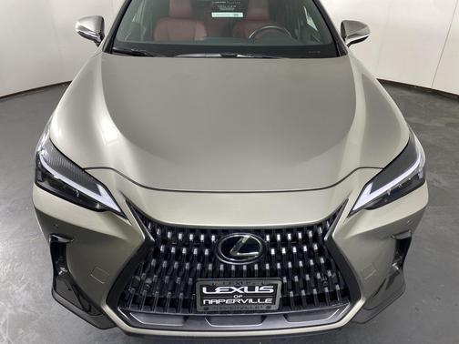 2025 Lexus NX 350 350 Base
