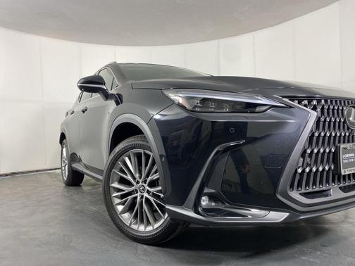 2025 Lexus NX 350h Luxury