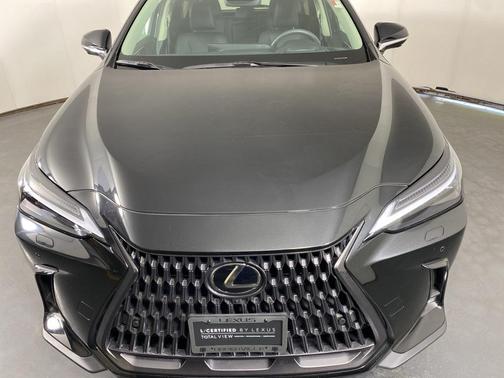 2025 Lexus NX 350h Luxury