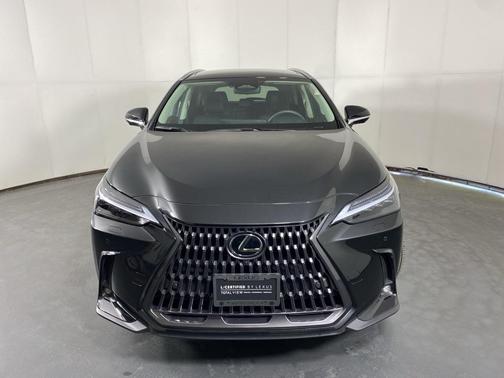 2025 Lexus NX 350h Luxury