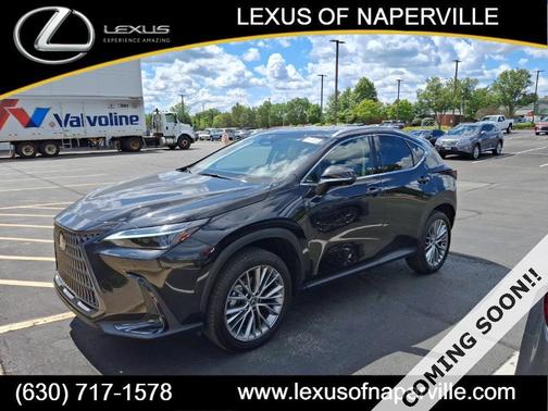 2025 Lexus NX 350h Luxury