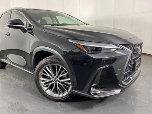 2025 Lexus NX 350h Luxury