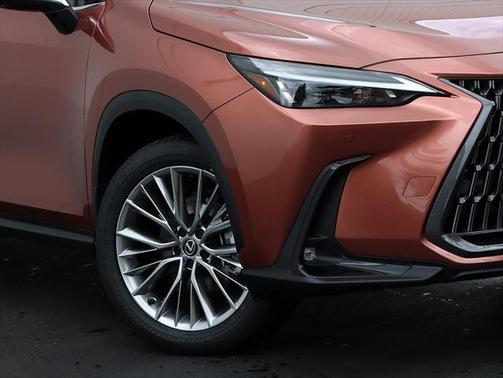 2025 Lexus NX 350h Premium