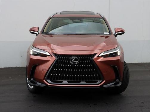 2025 Lexus NX 350h Premium