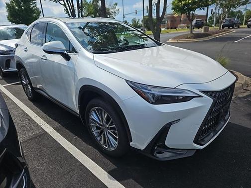 2025 Lexus NX 350h Premium