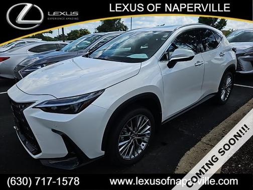2025 Lexus NX 350h Premium