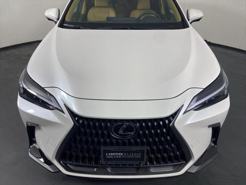 2025 Lexus NX 350h Premium