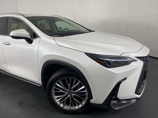2025 Lexus NX 350h Premium