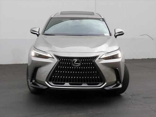 2025 Lexus NX 350 350 Base
