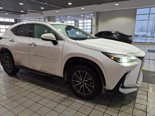 2023 Lexus NX 350h 350h Base