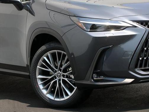 2025 Lexus NX 350h Luxury