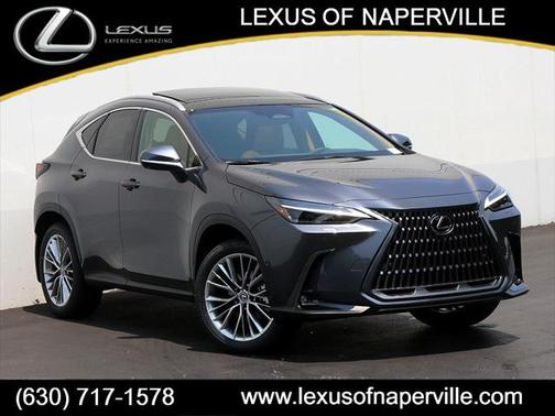 2025 Lexus NX 350h Luxury