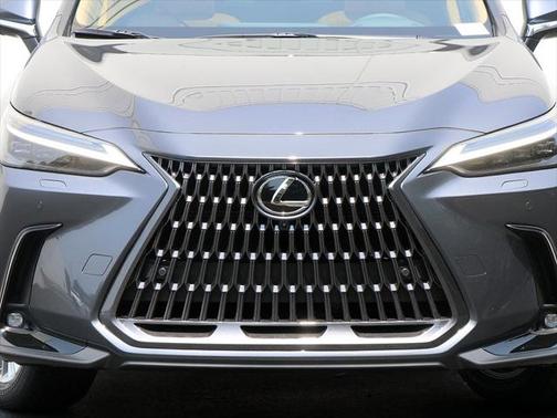 2025 Lexus NX 350h Luxury