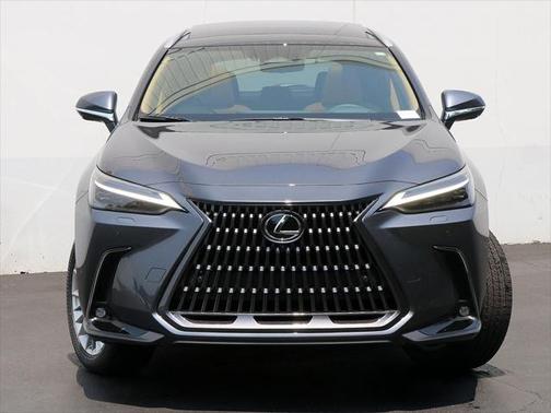 2025 Lexus NX 350h Luxury
