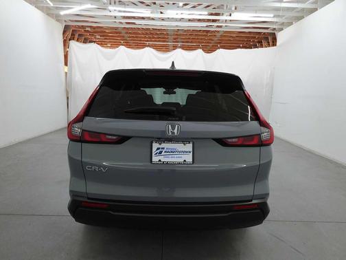 Urban Gray Pearl 2025 Honda CR-V EX AWD