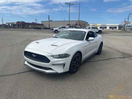 Oxford White 2019 Ford Mustang EcoBoost