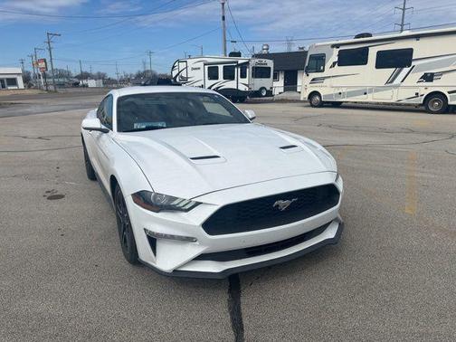 Oxford White 2019 Ford Mustang EcoBoost