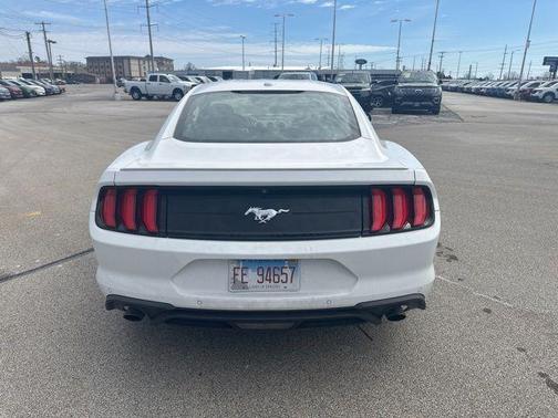 Oxford White 2019 Ford Mustang EcoBoost