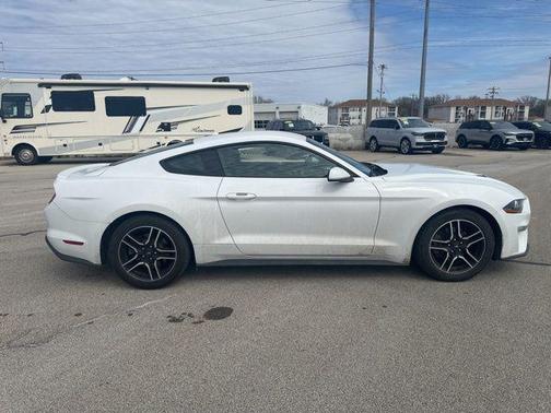Oxford White 2019 Ford Mustang EcoBoost