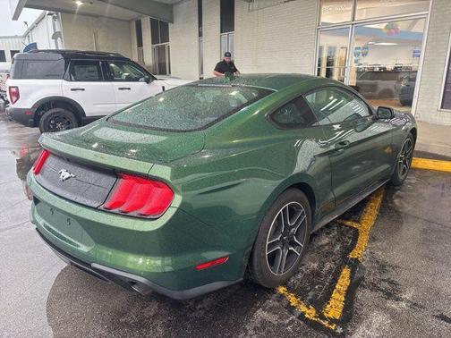 Green Metallic 2022 Ford Mustang EcoBoost