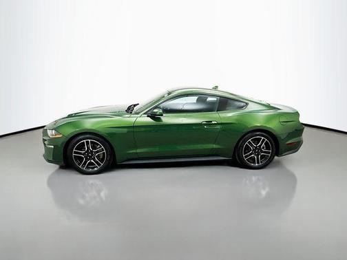 Green Metallic 2022 Ford Mustang EcoBoost