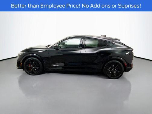Shadow Black 2025 Ford Mustang Mach-E GT