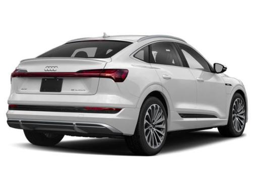 Glacier White Metallic 2021 Audi e-tron Sportback Premium
