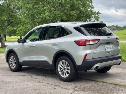 Magnetic 2019 Ford Escape S