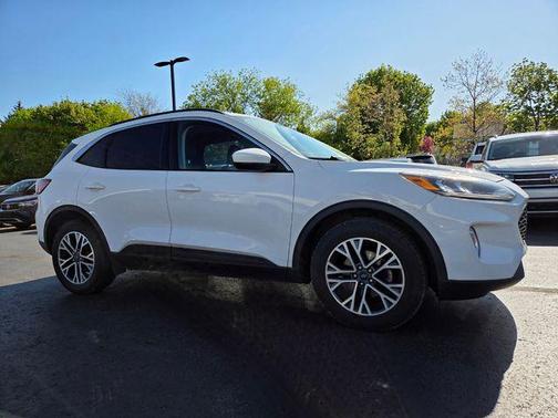 Oxford White 2020 Ford Escape SEL