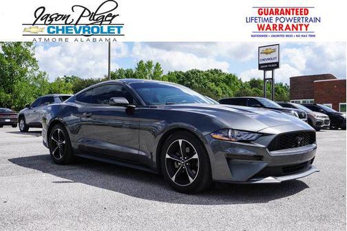 MAGNETIC METALLIC 2019 Ford Mustang EcoBoost